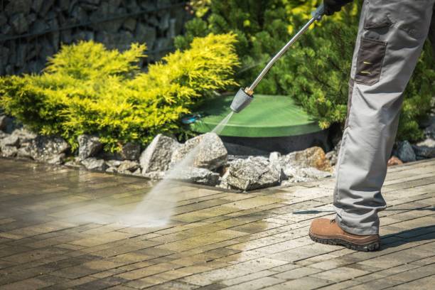 Best Driveway Pressure Washing  in Wilsonville, OR